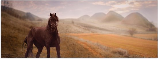 WallClassics - Poster Glanzend – Zwart Paard in de Natuur - 60x20 cm Foto op Posterpapier met Glanzende Afwerking