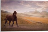 WallClassics - Dibond - Zwart Paard in de Natuur - 75x50 cm Foto op Aluminium (Wanddecoratie van metaal)