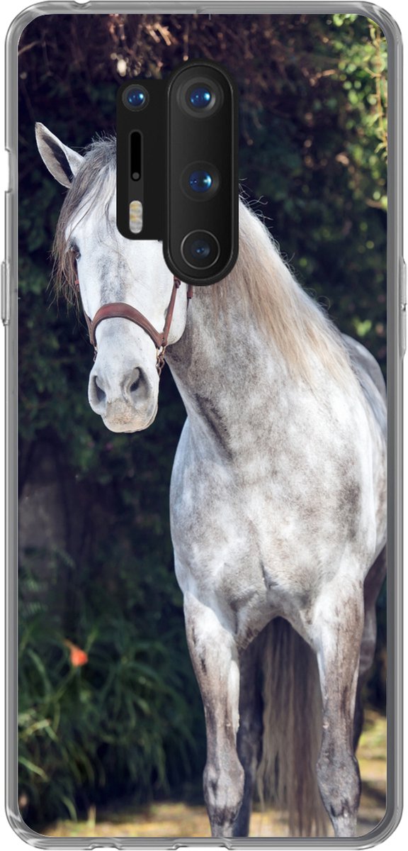 Telefoonhoesje Geschikt voor OnePlus 8 Pro hoesje - Paard - Halster - Natuur - Siliconen Telefoonhoesje Telefoonhoesje