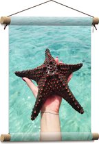 WallClassics - Textielposter - Zeester uit het Water - 30x40 cm Foto op Textiel