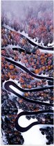 WallClassics - Poster (Mat) - Slingerende Weg Bovenaanzicht - 20x60 cm Foto op Posterpapier met een Matte look