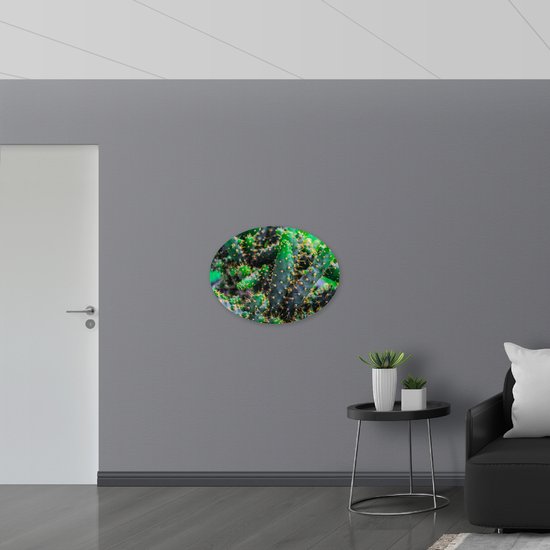 WallClassics - PVC Schuimplaat Ovaal - Wilde Cactussen - 80x60 cm Foto op Ovaal  (Met Ophangsysteem)