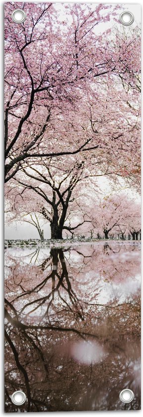 WallClassics - Tuinposter – Prachtige Bloesem Bomen - 20x60 cm Foto op Tuinposter  (wanddecoratie voor buiten en binnen)