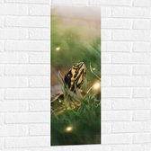 WallClassics - Muursticker - Zwart met Gele Slang tussen het Groene Gras - 30x90 cm Foto op Muursticker