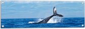 WallClassics - Tuinposter – Walvis Staart boven het Zee Oppervlak - 90x30 cm Foto op Tuinposter  (wanddecoratie voor buiten en binnen)