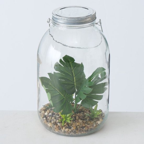 Plant in glazen pot Eline LED - Versie 2