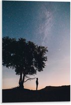 WallClassics - Panneau de mousse PVC - Silhouette d'une personne sous un arbre et les étoiles - Photo 40 x 60 cm sur panneau de mousse PVC