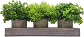 Kunstplanten in pot - Set van 3 stuks met houten dienblad - Kunstplanten voor binnen - 12x20 cm - Decoratie