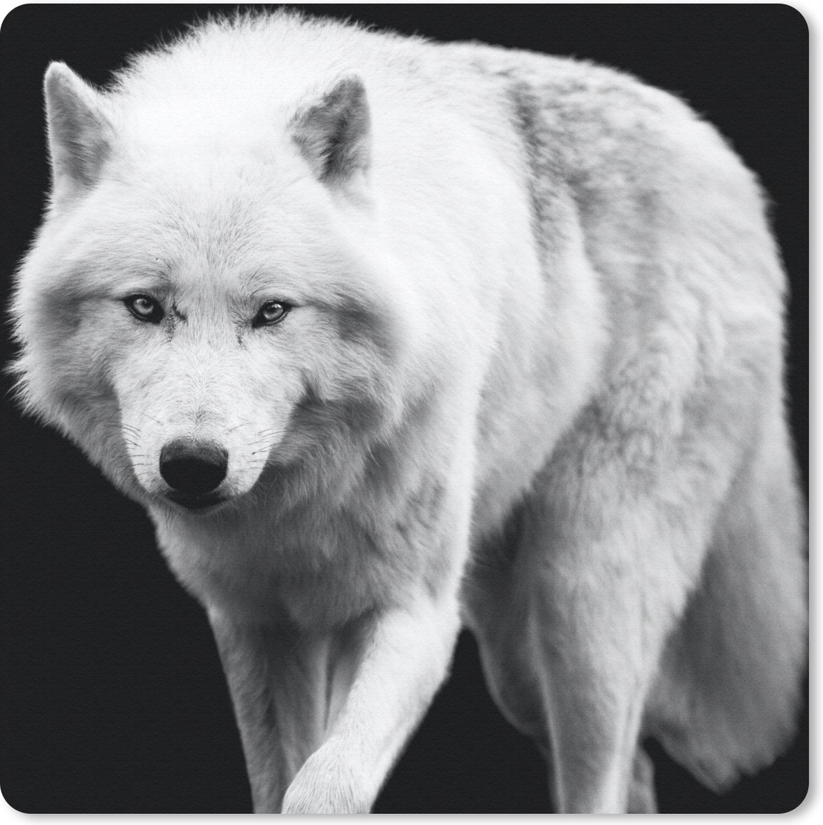 Muismat 30x30 cm - Mousepad Wolf - Dier - Zwart - Wit - Muismatten