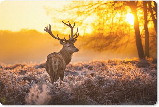 Foto: Muismat mousepad hert dieren zonsondergang winter landschap heide natuur 27x18 cm muismatten