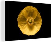 Coquelicot jaune sur toile de fond noir 2cm 30x20 cm - petit - Tirage photo sur toile (Décoration murale salon / chambre) / Peintures Fleurs sur toile