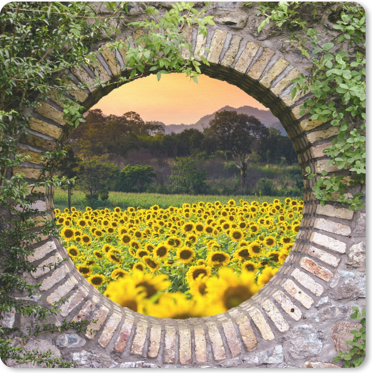 Muismat 30x30 cm - Mousepad Doorkijk - Bloemen - Zonnebloem - Muismatten