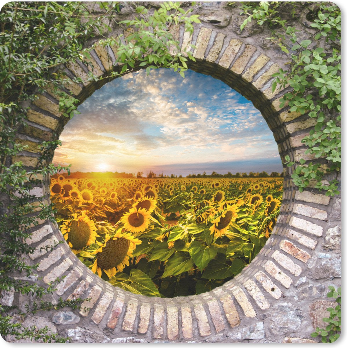 Muismat 20x20 cm - Mousepad Zonnebloemen - Doorkijk - Bloemen - Zon - Muismatten