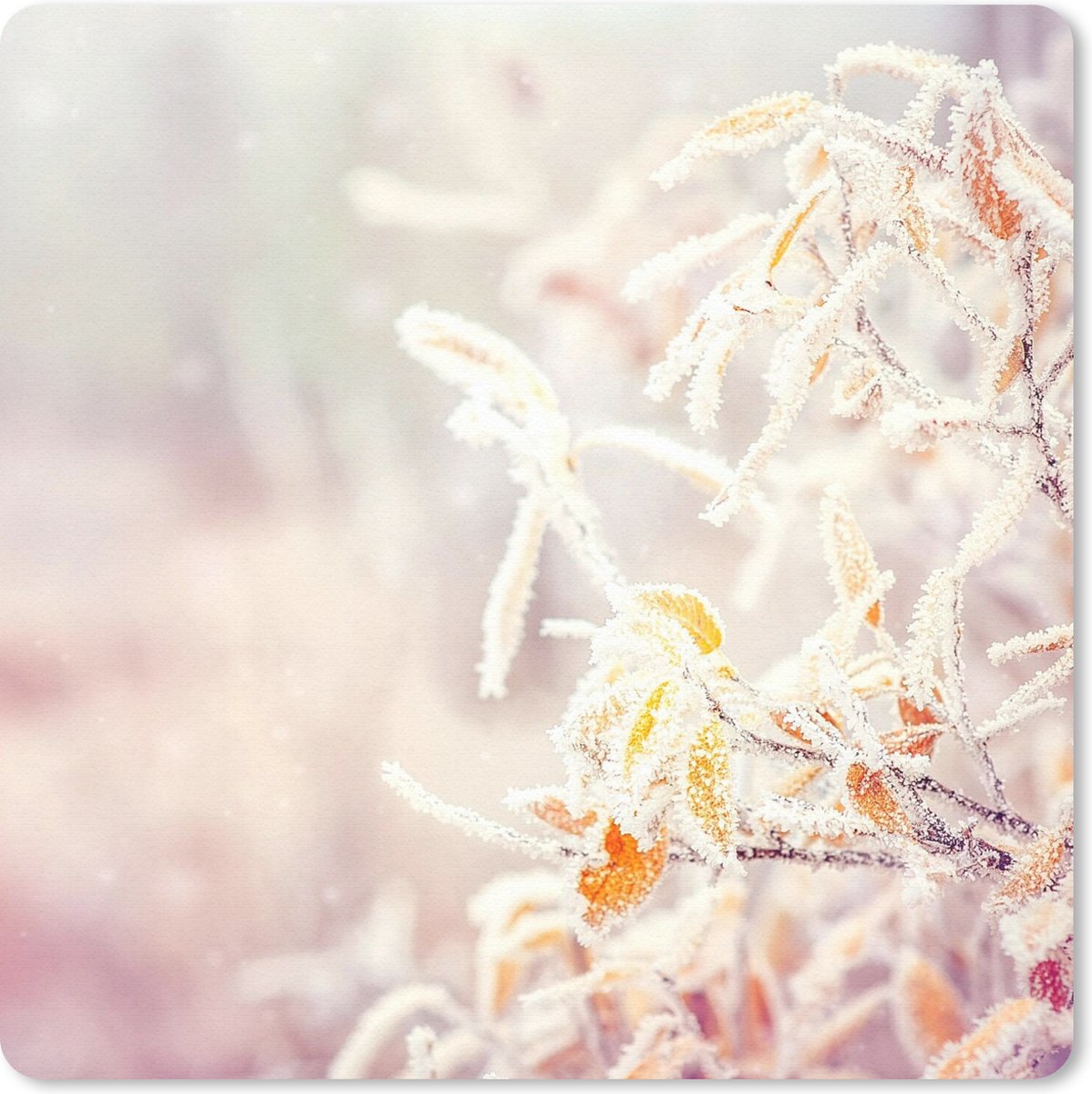 Muismat 20x20 cm - Mousepad Winter - Takken - Sneeuw - Natuur - Muismatten