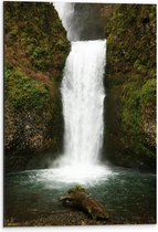 WallClassics - Dibond - Witte Waterval met Mos - 40x60 cm Foto op Aluminium (Met Ophangsysteem)