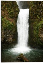 WallClassics - Dibond - Witte Waterval met Mos - 50x75 cm Foto op Aluminium (Met Ophangsysteem)