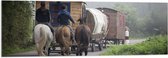 WallClassics - Acrylglas - Ouderwetse Caravan met Paard en Wagen - 120x40 cm Foto op Acrylglas (Met Ophangsysteem)