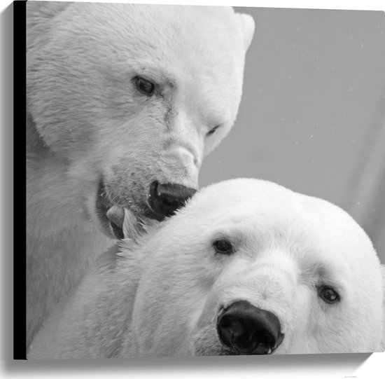 WallClassics - Canvas  - Twee Liefdevolle IJsberen (Zwart/wit) - 60x60 cm Foto op Canvas Schilderij (Wanddecoratie op Canvas)