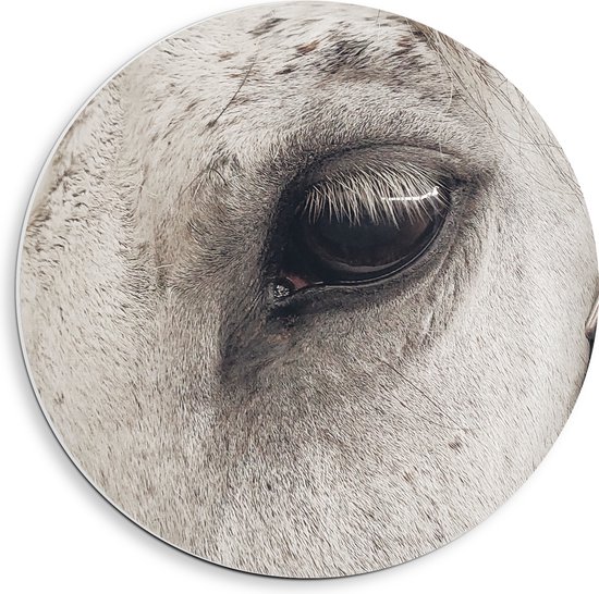 WallClassics - PVC Schuimplaat Muurcirkel - Één oog van Wit Paard - 40x40 cm Foto op Muurcirkel (met ophangsysteem)