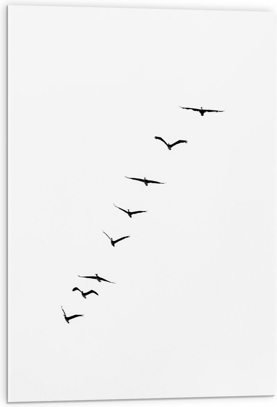 WallClassics - Acrylglas - Schuine Lijn van Zwarrte Vogels op Witte Achtergrond - 50x75 cm Foto op Acrylglas (Met Ophangsysteem)