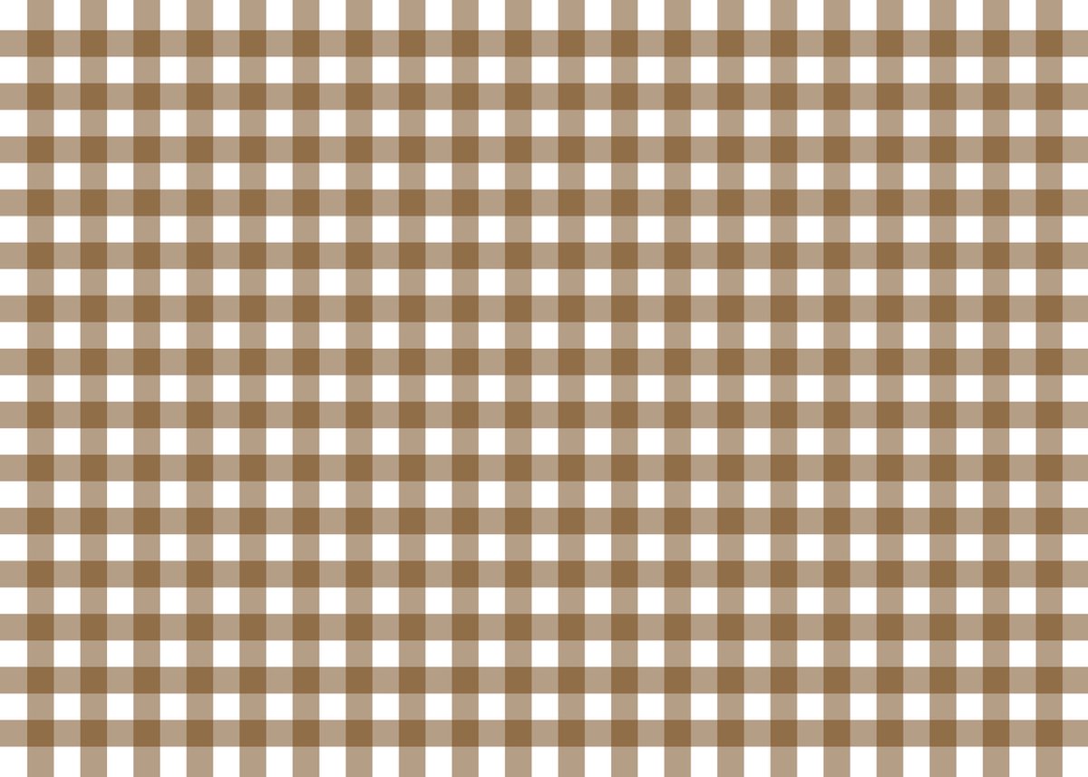 Papieren Placemats Onderleggers Bruine ruit 50 stuks (30x42cm)