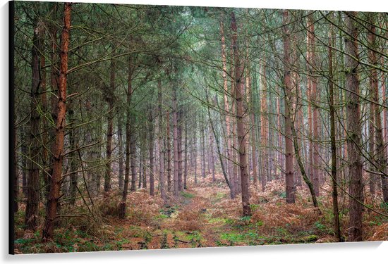 WallClassics - Toile - Branches vert vif sur Arbres - 150x100 cm Image sur toile (Décoration murale sur toile)