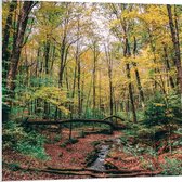 WallClassics - Panneau en mousse PVC - Arbres tombés sur la rivière - Photo 80x80 cm sur panneau en mousse PVC (avec système de suspension)