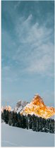 WallClassics - Poster Glanzend – Bomen en Rotsen in Sneeuwgebied - 40x120 cm Foto op Posterpapier met Glanzende Afwerking