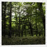 WallClassics - Muursticker - Seulement du vert dans la forêt - 50x50 cm Photo sur Muursticker
