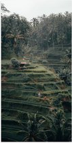 WallClassics - Poster (Mat) - Landbouwvelden in Bali - 50x100 cm Foto op Posterpapier met een Matte look