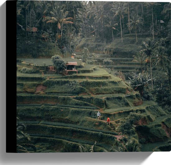 WallClassics - Canvas  - Landbouwvelden in Bali - 30x30 cm Foto op Canvas Schilderij (Wanddecoratie op Canvas)