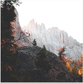 WallClassics - Poster Glossy - Arbres sur une Berg escarpée - 100x100 cm Photo sur Papier Poster avec Finition Brillante