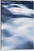 WallClassics - Dibond - Close up van Sneeuw - 40x60 cm Foto op Aluminium (Met Ophangsysteem)