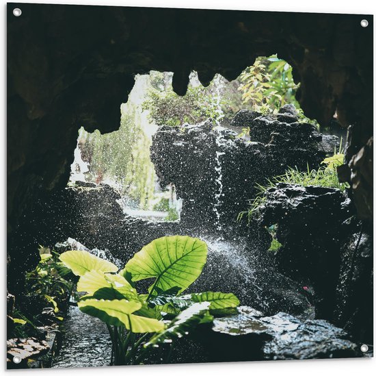 WallClassics - Tuinposter – Groen Plantje Achter Stromend Water in een Grot - 100x100 cm Foto op Tuinposter  (wanddecoratie voor buiten en binnen)