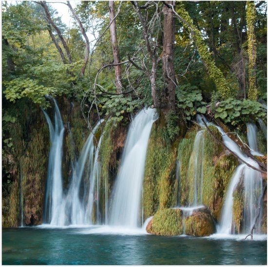 WallClassics - Poster (Mat) - Prachtige Watervallen in de Natuur - 50x50 cm Foto op Posterpapier met een Matte look