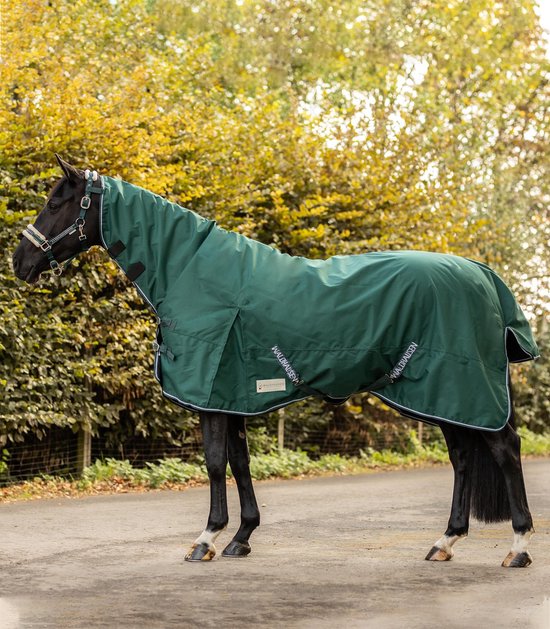 Tapis de pluie Waldhausen avec col complet vert 145 cm