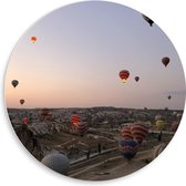 WallClassics - PVC Schuimplaat Muurcirkel - Luchtballonnen boven Bergachtig Landschap - 50x50 cm Foto op Muurcirkel (met ophangsysteem)