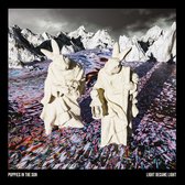 Puppies In The Sun - Light Became Light (LP)