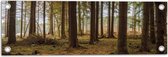 WallClassics - Tuinposter – Afgebroken Takken bij Bomen - 60x20 cm Foto op Tuinposter  (wanddecoratie voor buiten en binnen)