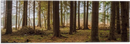 WallClassics - Vlag - Afgebroken Takken bij Bomen - 60x20 cm Foto op Polyester Vlag