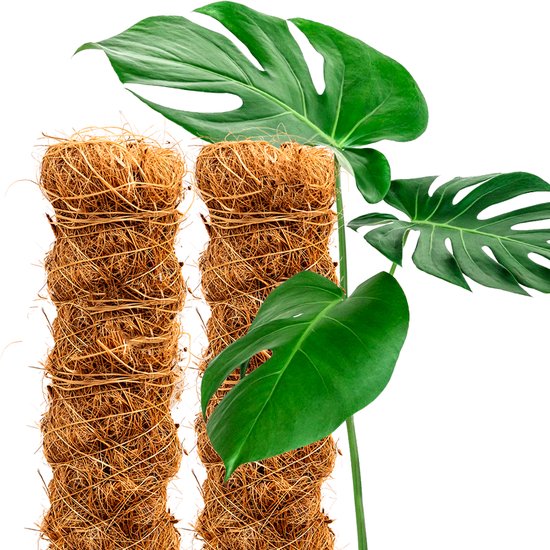 Kokosstok - 2 stuks - 100 cm hoog - 3,2 cm dik - Steunstok, plantensteun, plantenstok, mosstok