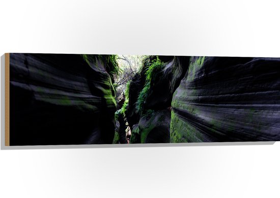 WallClassics - Hout - Kloof Tussen Grijze Bergen met Mos - 120x40 cm - 12 mm dik - Foto op Hout (Met Ophangsysteem)