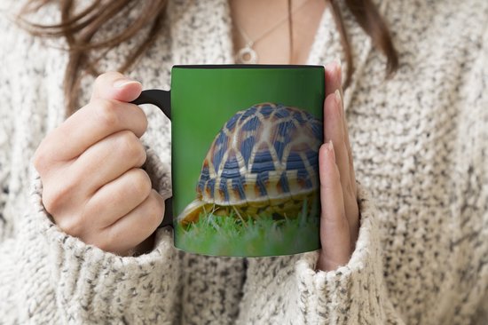 Magic Mug - Photo Heat Mug - Turtle on Grass - 350 ML - Sinterklaas Gift - Noël Presents - Shoes Presents - Handout Presents