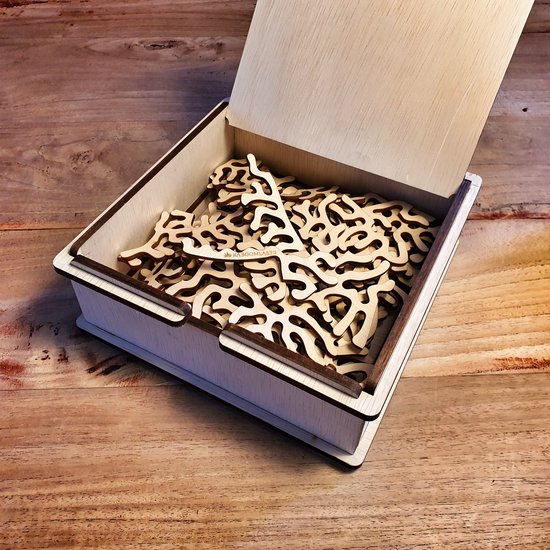 Hersenkrakers voor kinderen en volwassenen - logische en 3D puzzels