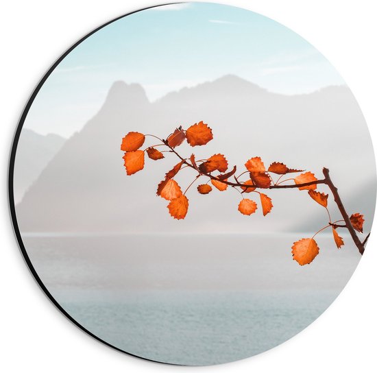 WallClassics - Dibond Muurcirkel - Oranje Bladeren aan Tak voor Bergen - 20x20 cm Foto op Aluminium Muurcirkel (met ophangsysteem)