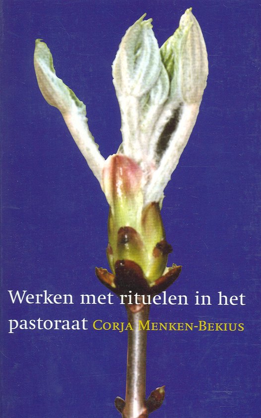 Cover van het boek 'Werken met rituelen in het pastoraat' van Corja Menken-Bekius