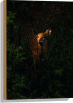 WallClassics - Bois - Cerf dans la forêt - 40x60 cm - Épaisseur 12 mm - Photo sur bois (avec système de suspension)