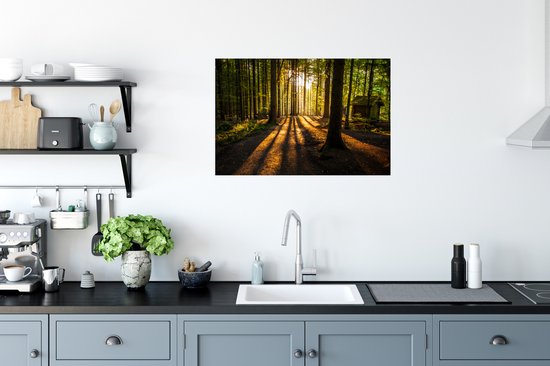 Affiche Soleil - Arbres - Forêt - Paysage - Nature - 90x60 cm