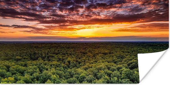 Poster Bos - Nacht - Lucht - Horizon - Bomen - 150x75 cm