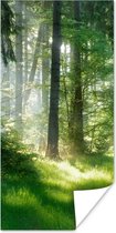 Poster Natuur - Bomen - Bos - Groen - Zon - Gras - Planten - 75x150 cm